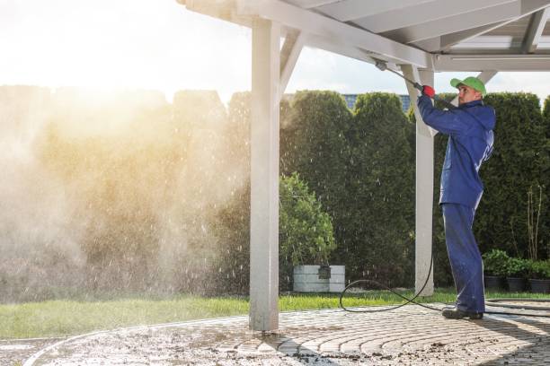 Best Vinyl Siding Pressure Washing in Meadows Place, TX
