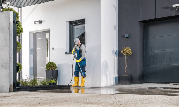 Best Fence Cleaning and Maintenance in Meadows Place, TX